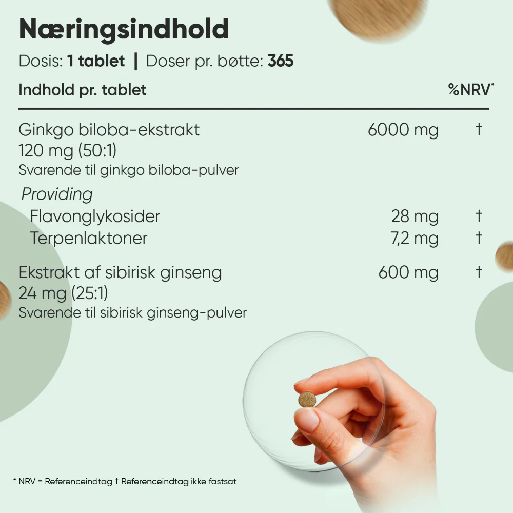 Ginkgo biloba + ginseng 6600 mg - Image 6