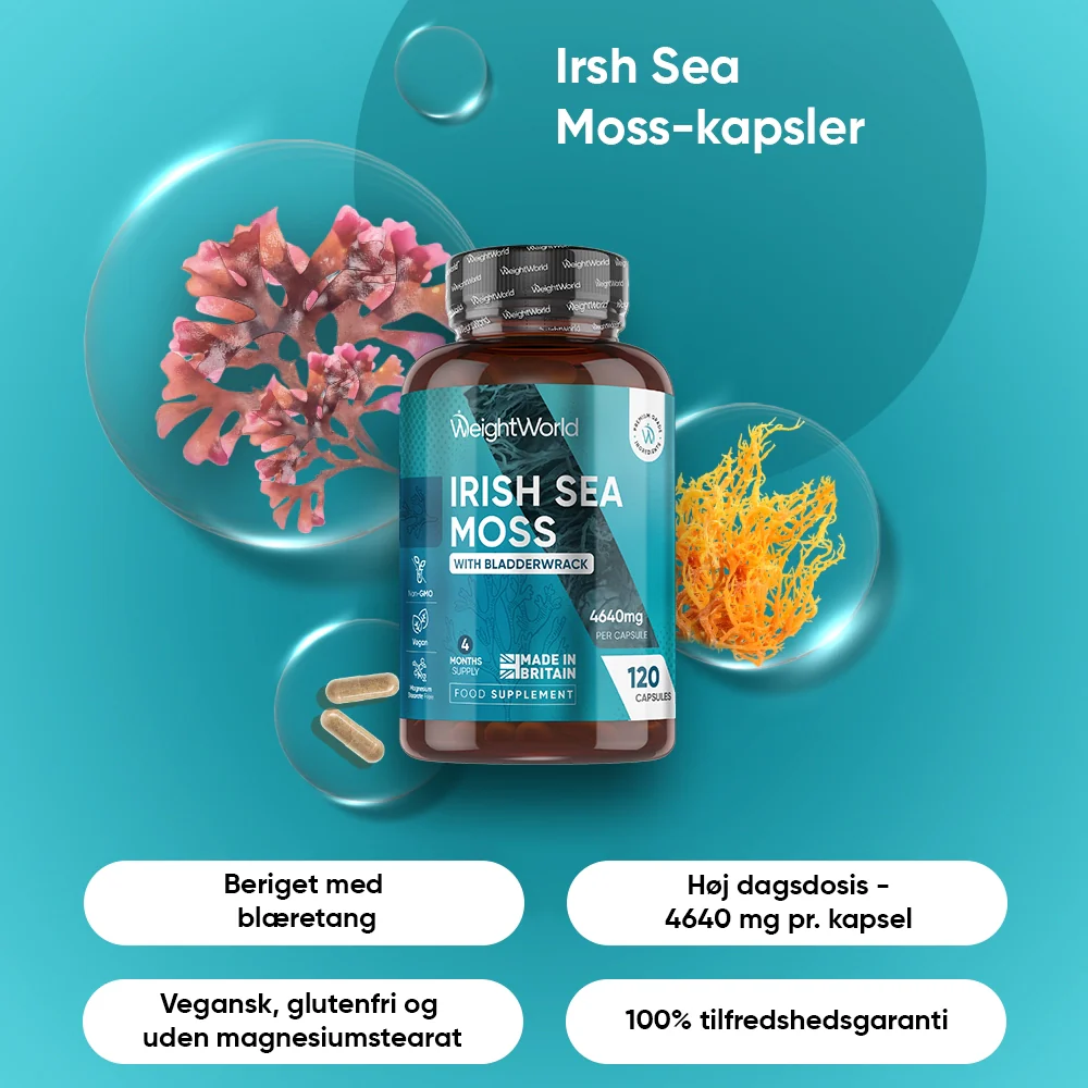 Irish Sea Moss 4640mg - Image 2