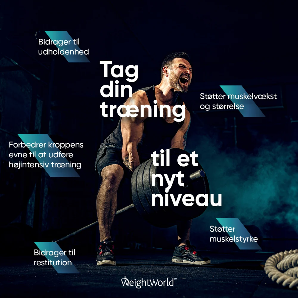 Kreatinpulver (Monohydrat) - Image 6