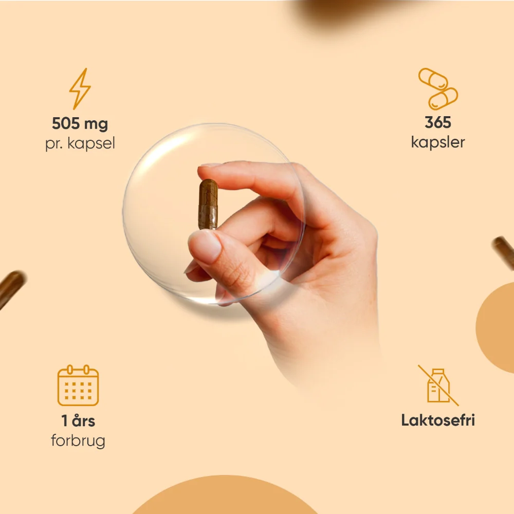 Økologisk Gurkemeje med Ingefær og Sort Peber 505mg - Image 3