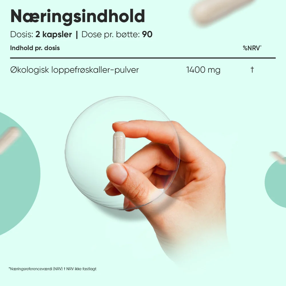 Økologiske Loppefrøskaller 1400mg - Image 3