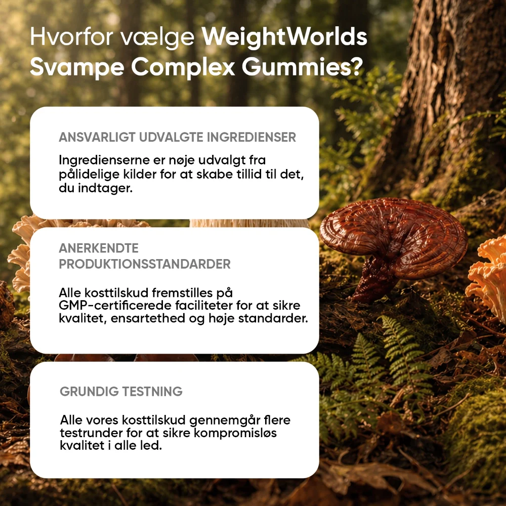 Svampe Complex Gummies - Image 3